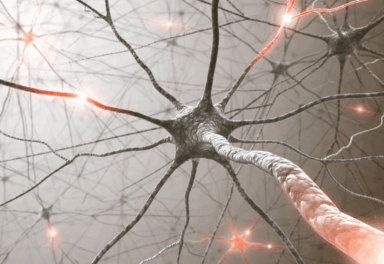 Mindful Techniques for Nervous System